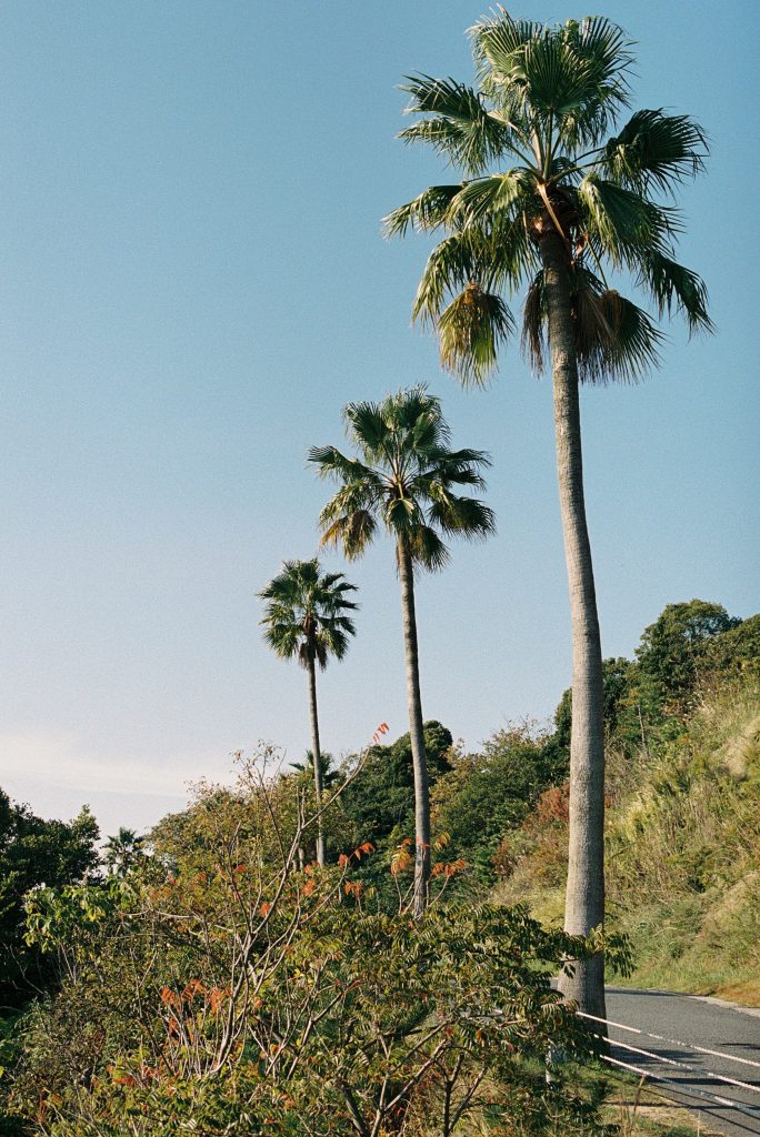 Fiona Gather Stammel-51-4